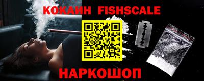 гидра Новозыбков