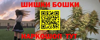 гидра Новозыбков