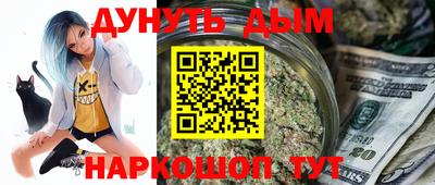гидра Новозыбков