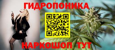 гидра Новозыбков