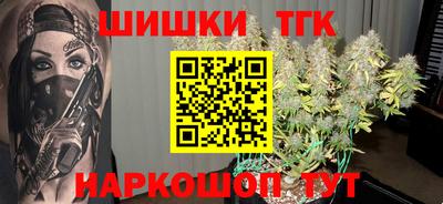 гидра Новозыбков